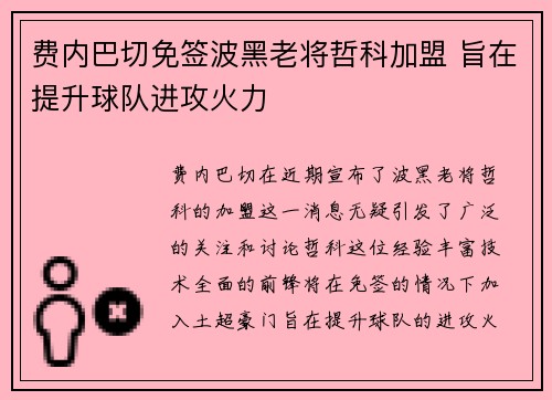 费内巴切免签波黑老将哲科加盟 旨在提升球队进攻火力